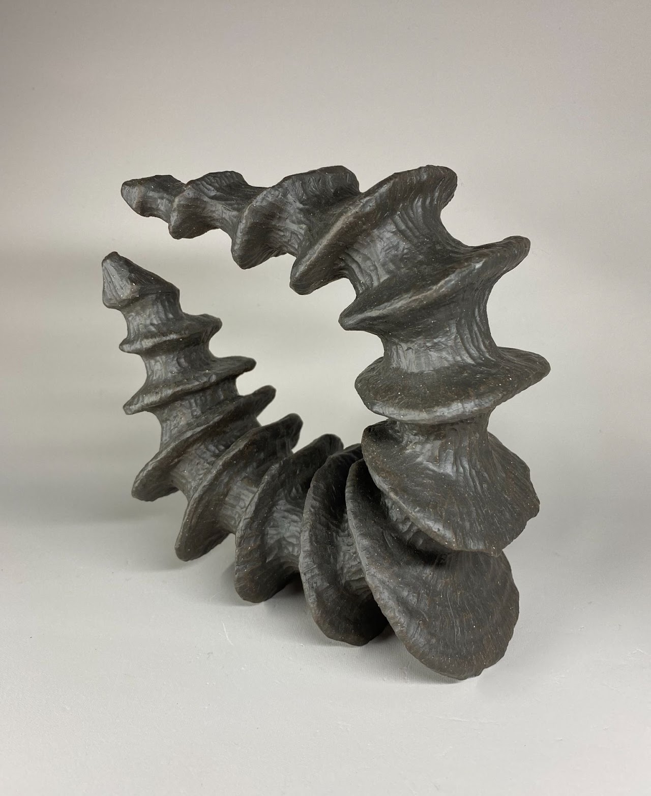 Carved Spine