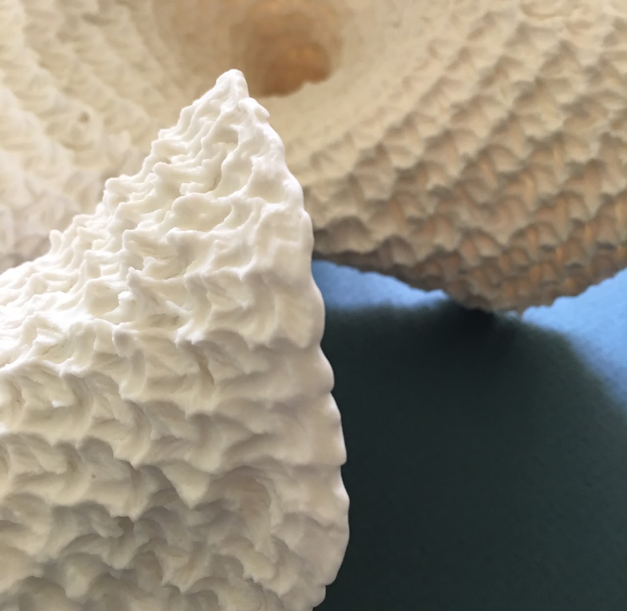 Crochet Coral artwork