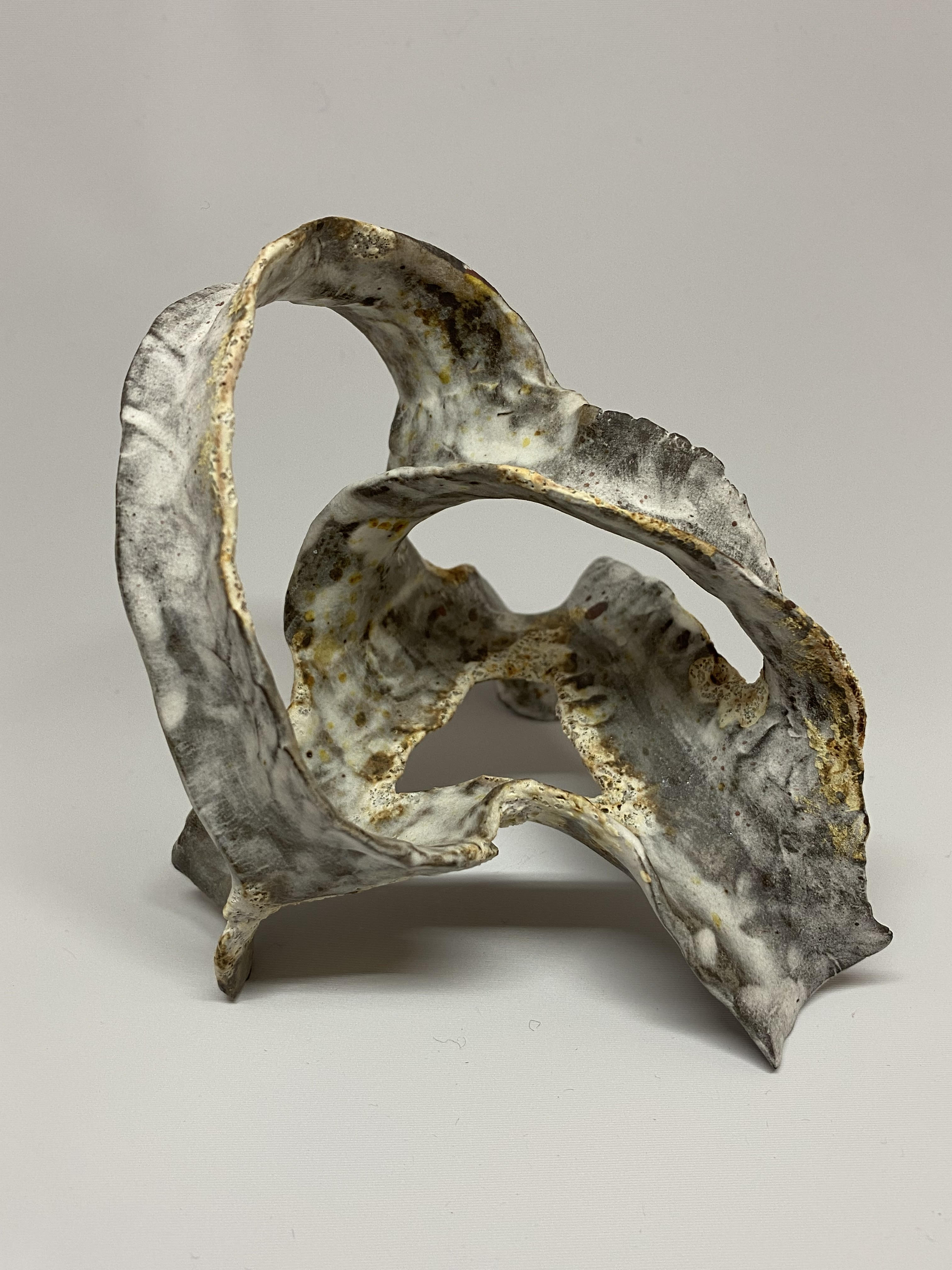 Clay Exercise