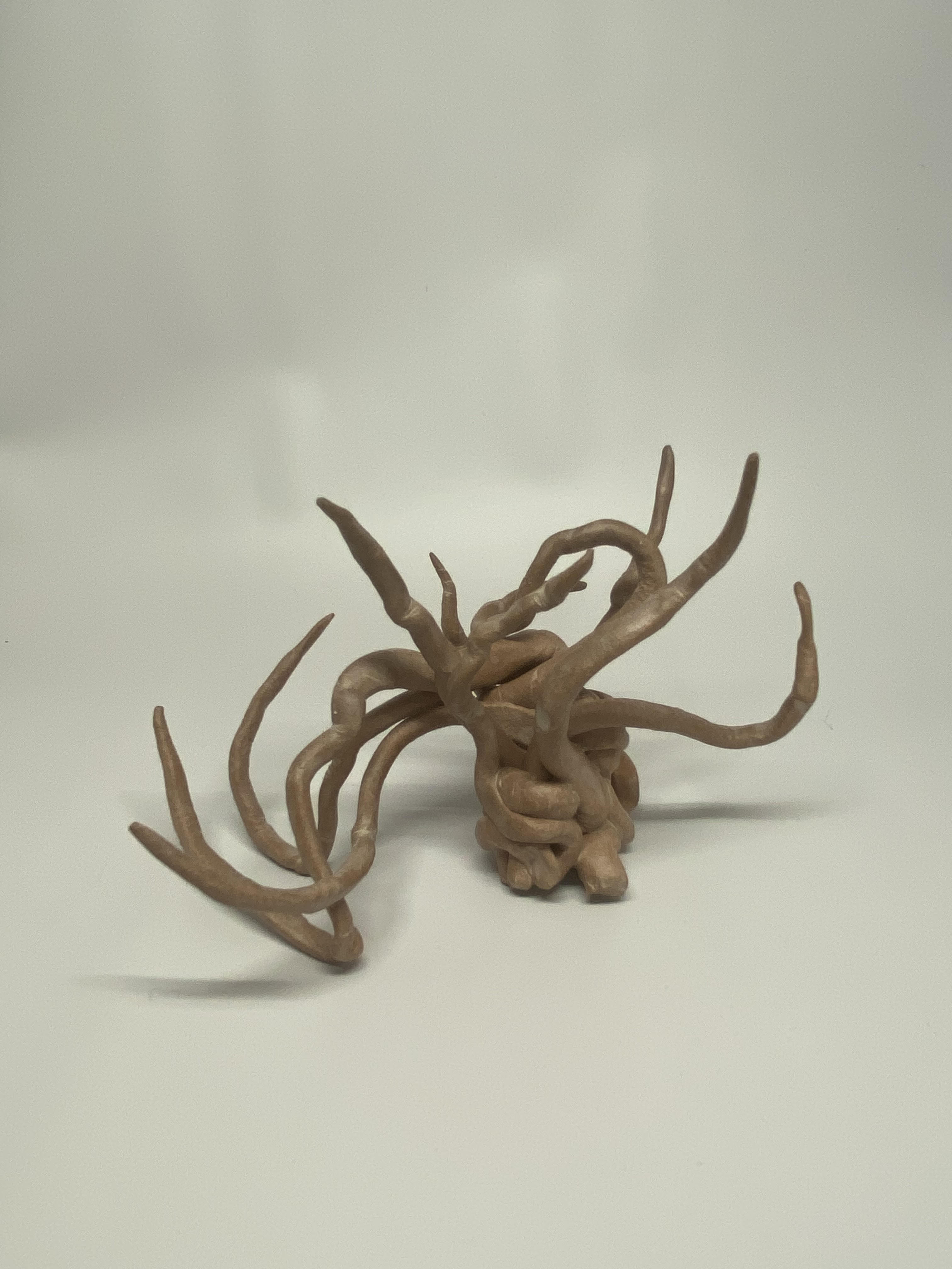 Clay Exercise