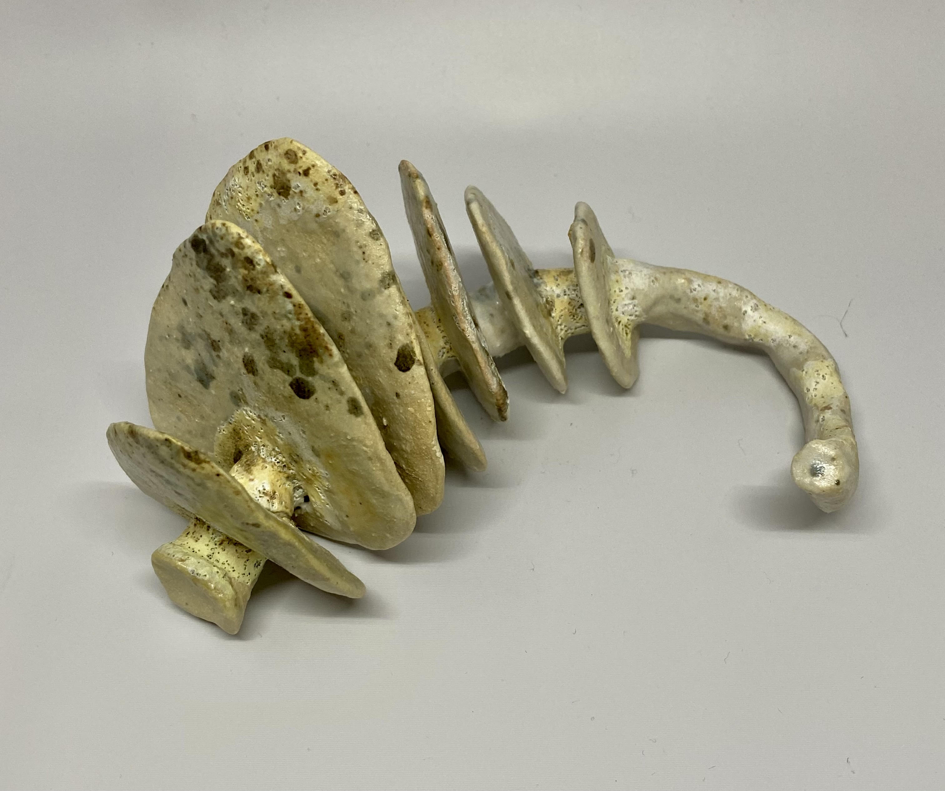Clay Exercise