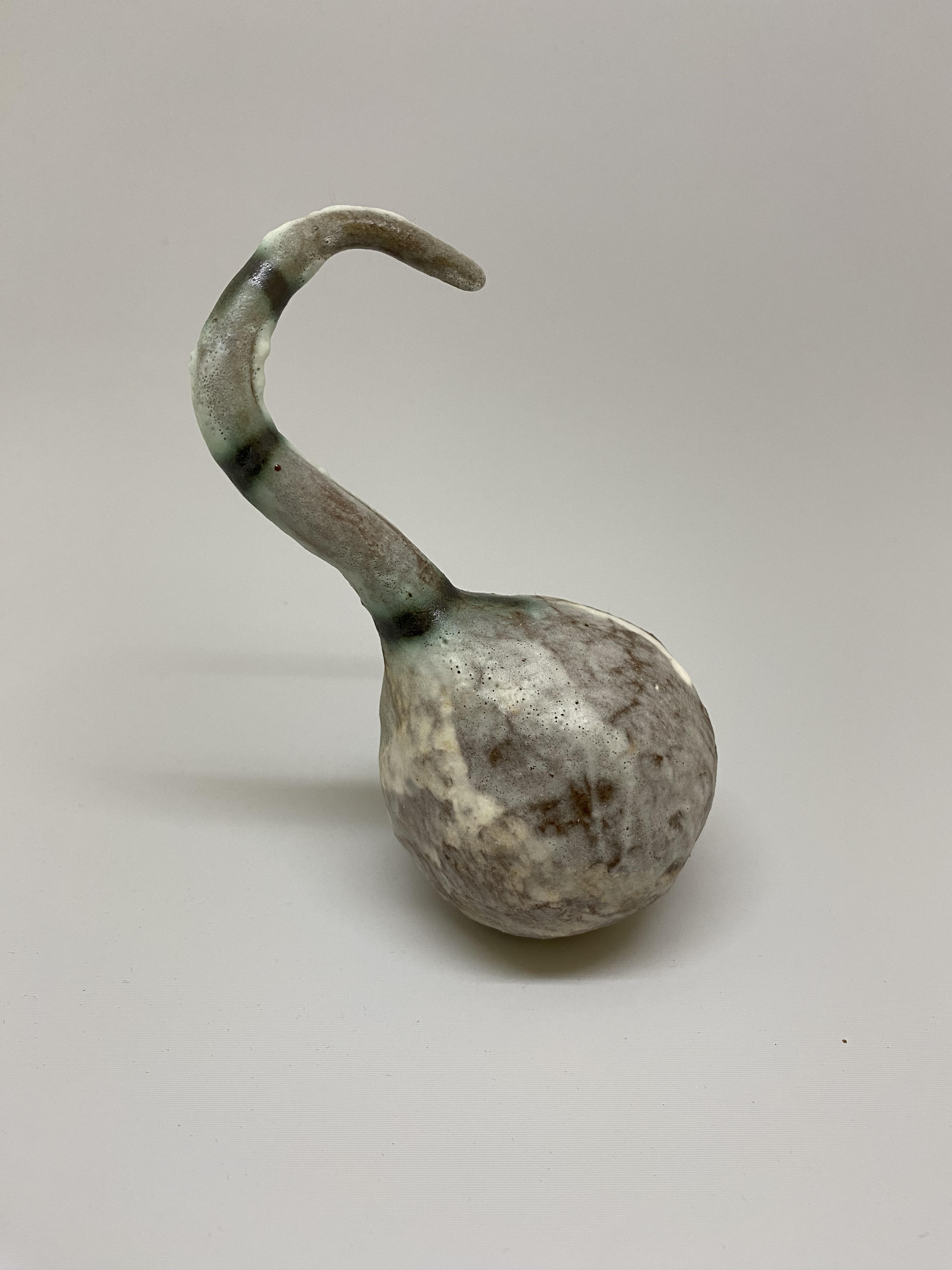 Clay Exercise